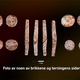 Illustration for article titled Archaeologists Uncover 1700-Year-Old Board Game